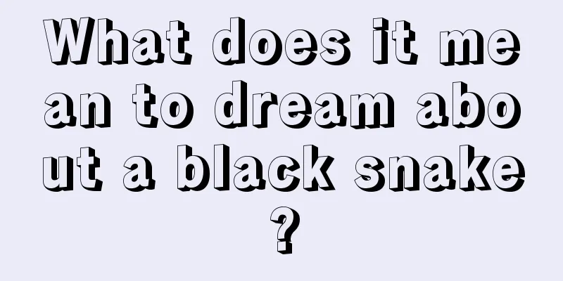 What does it mean to dream about a black snake?