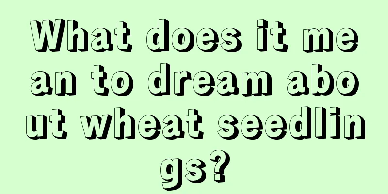 What does it mean to dream about wheat seedlings?