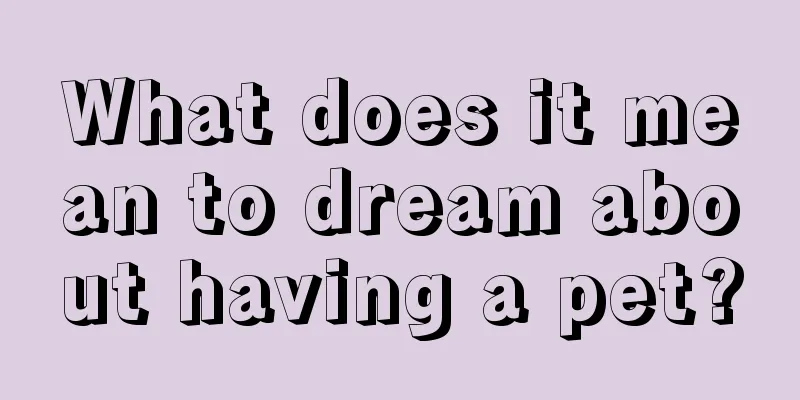 What does it mean to dream about having a pet?