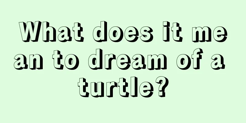 What does it mean to dream of a turtle?