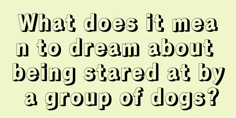 What does it mean to dream about being stared at by a group of dogs?