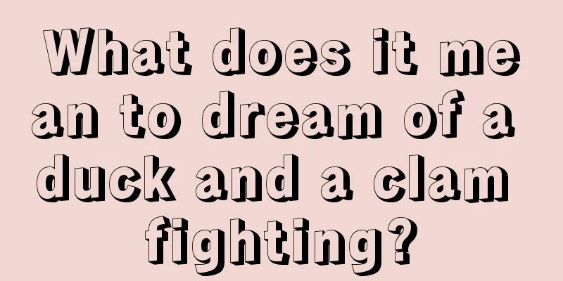 What does it mean to dream of a duck and a clam fighting?