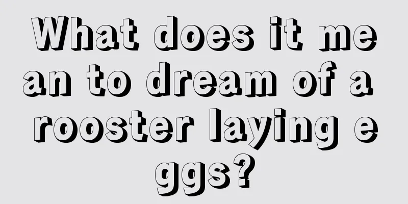 What does it mean to dream of a rooster laying eggs?