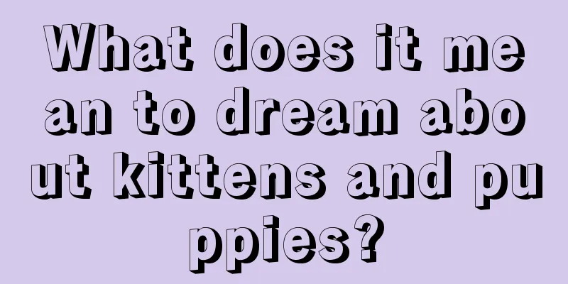 What does it mean to dream about kittens and puppies?