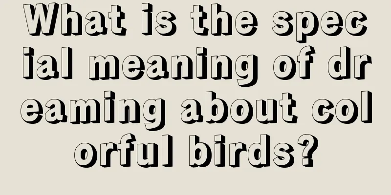 What is the special meaning of dreaming about colorful birds?