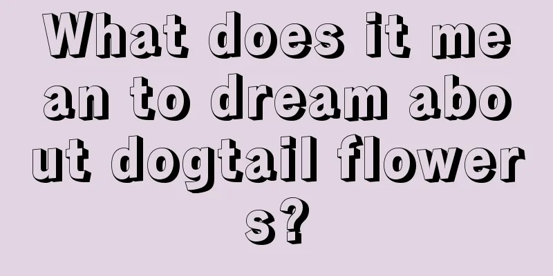 What does it mean to dream about dogtail flowers?