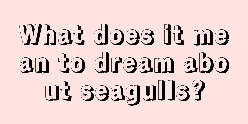 What does it mean to dream about seagulls?