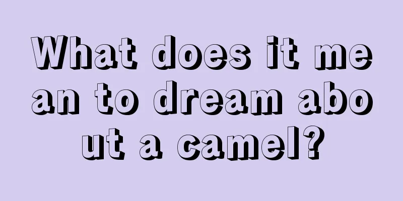 What does it mean to dream about a camel?