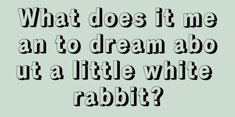 What does it mean to dream about a little white rabbit?