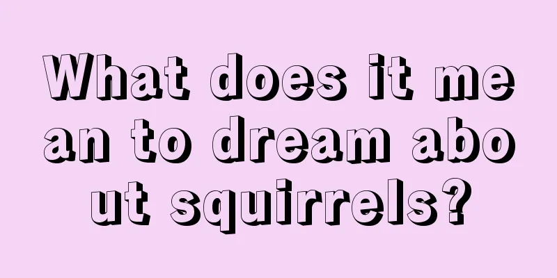 What does it mean to dream about squirrels?