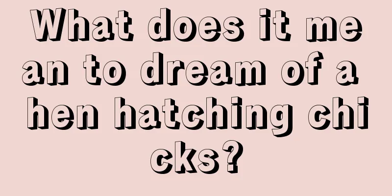 What does it mean to dream of a hen hatching chicks?