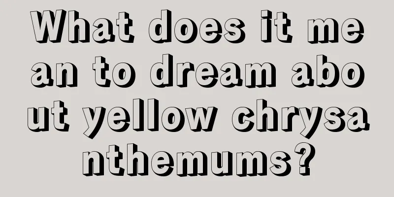 What does it mean to dream about yellow chrysanthemums?