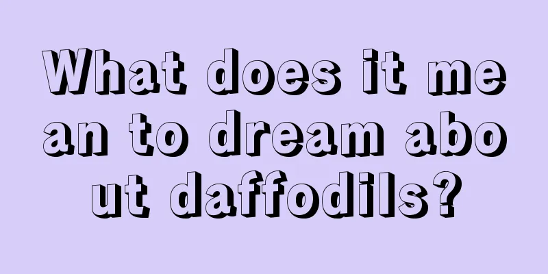 What does it mean to dream about daffodils?