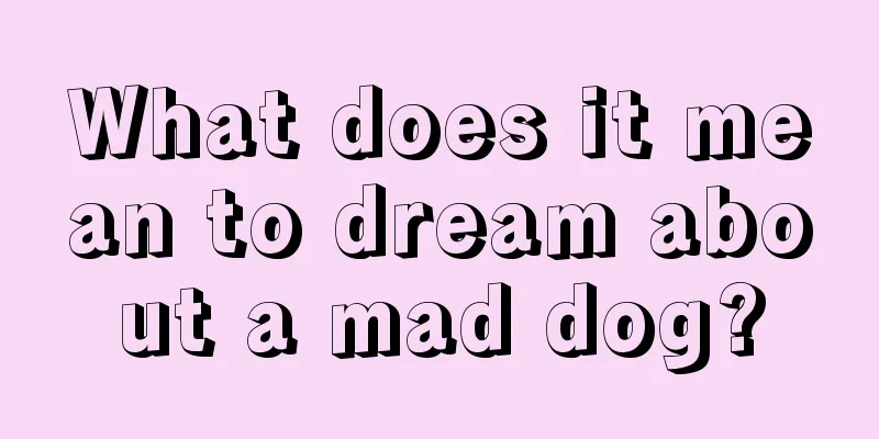 What does it mean to dream about a mad dog?