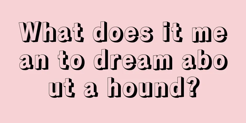 What does it mean to dream about a hound?