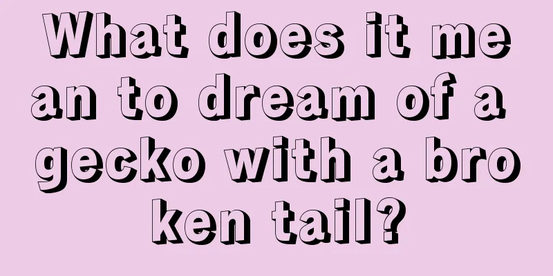 What does it mean to dream of a gecko with a broken tail?