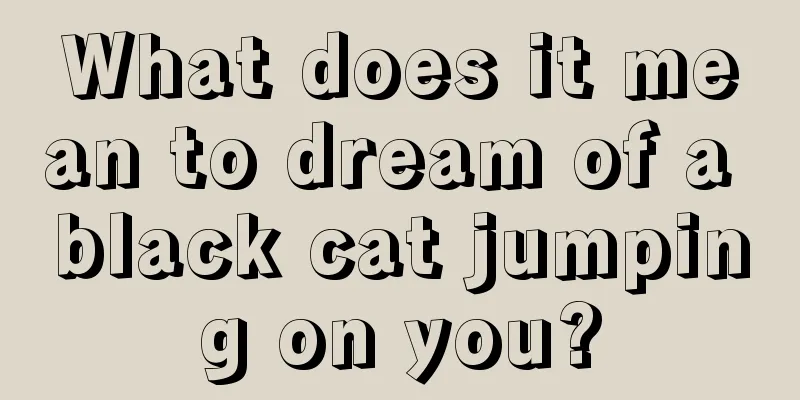 What does it mean to dream of a black cat jumping on you?