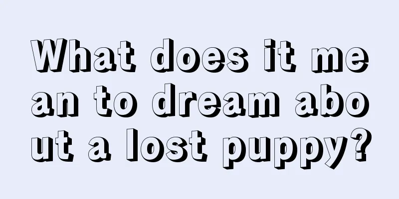 What does it mean to dream about a lost puppy?