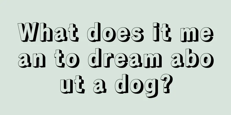 What does it mean to dream about a dog?