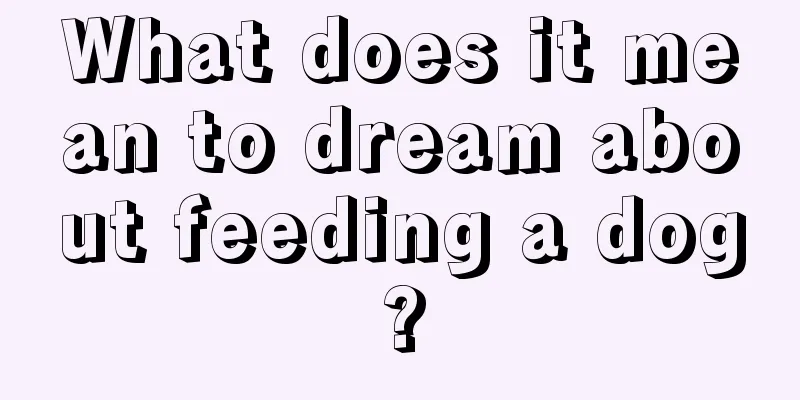 What does it mean to dream about feeding a dog?