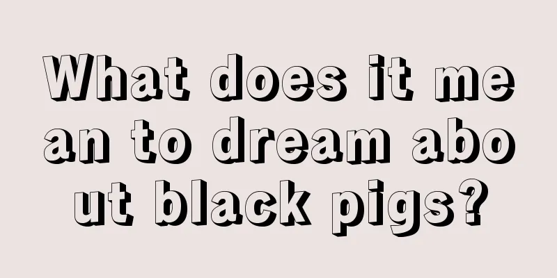 What does it mean to dream about black pigs?