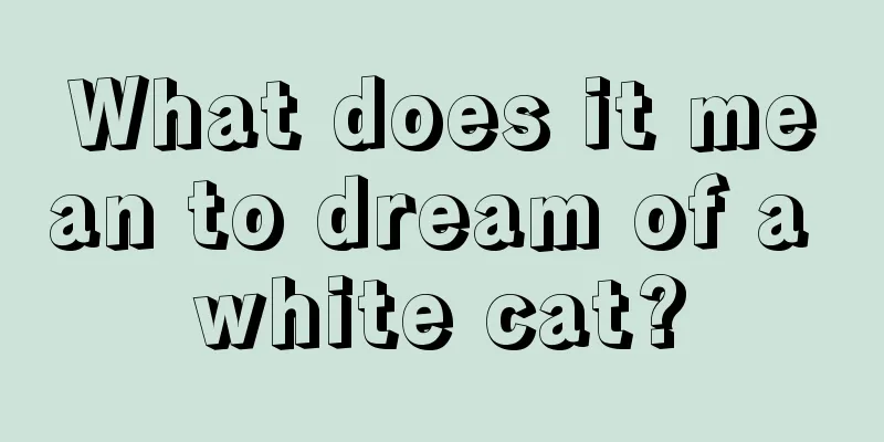 What does it mean to dream of a white cat?