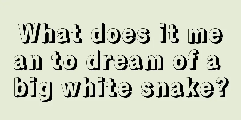 What does it mean to dream of a big white snake?