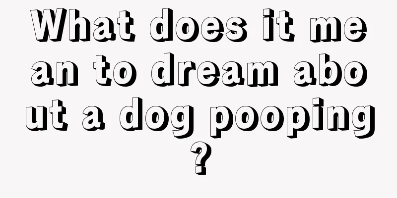 What does it mean to dream about a dog pooping?