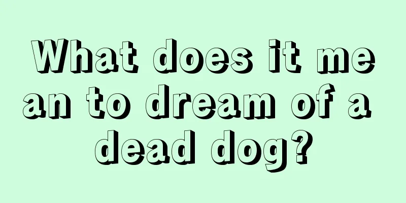 What does it mean to dream of a dead dog?