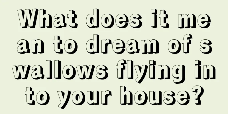 What does it mean to dream of swallows flying into your house?