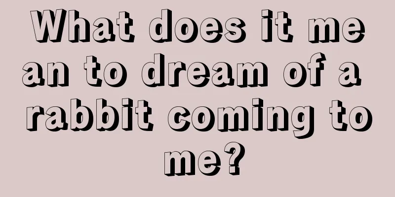 What does it mean to dream of a rabbit coming to me?