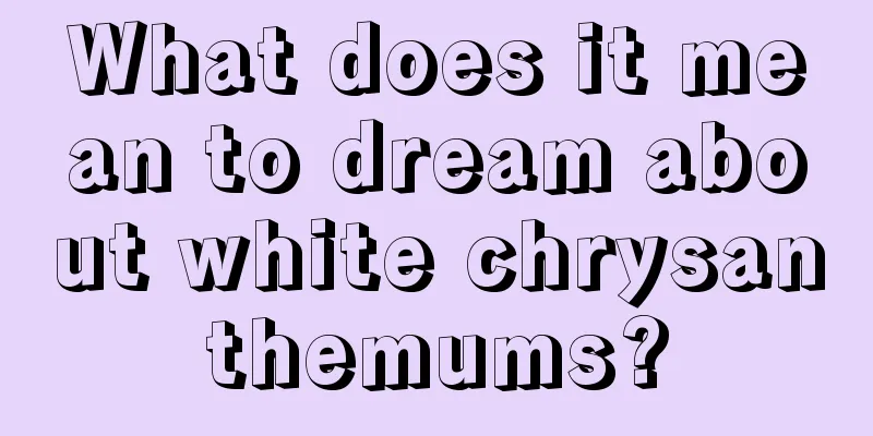 What does it mean to dream about white chrysanthemums?