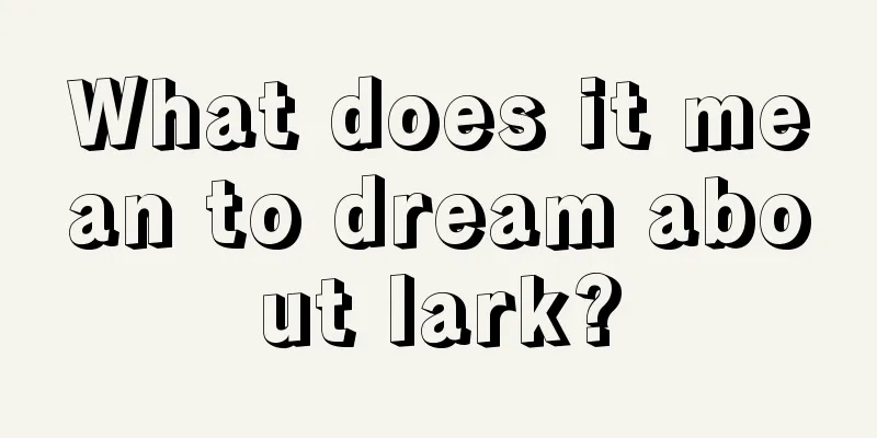 What does it mean to dream about lark?