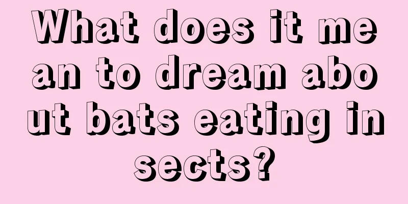 What does it mean to dream about bats eating insects?