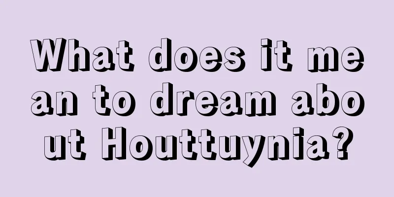 What does it mean to dream about Houttuynia?