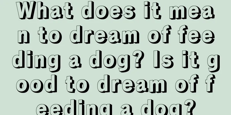 What does it mean to dream of feeding a dog? Is it good to dream of feeding a dog?