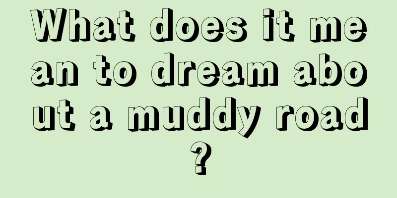 What does it mean to dream about a muddy road?