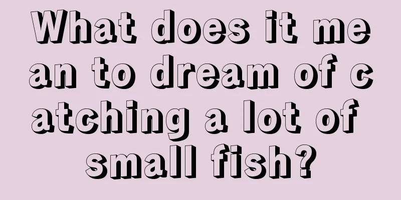 What does it mean to dream of catching a lot of small fish?