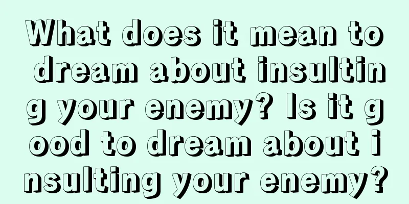 What does it mean to dream about insulting your enemy? Is it good to dream about insulting your enemy?