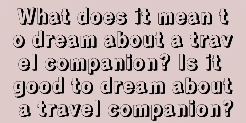 What does it mean to dream about a travel companion? Is it good to dream about a travel companion?