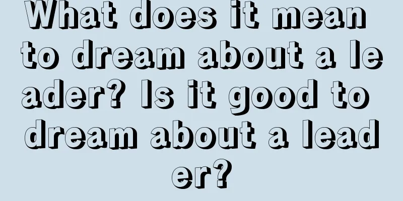 What does it mean to dream about a leader? Is it good to dream about a leader?