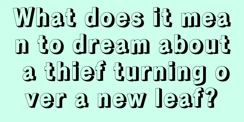 What does it mean to dream about a thief turning over a new leaf?