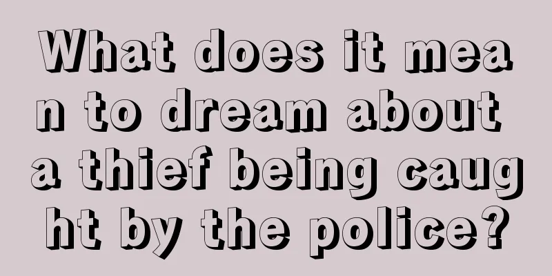 What does it mean to dream about a thief being caught by the police?