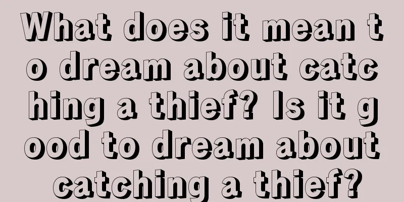 What does it mean to dream about catching a thief? Is it good to dream about catching a thief?