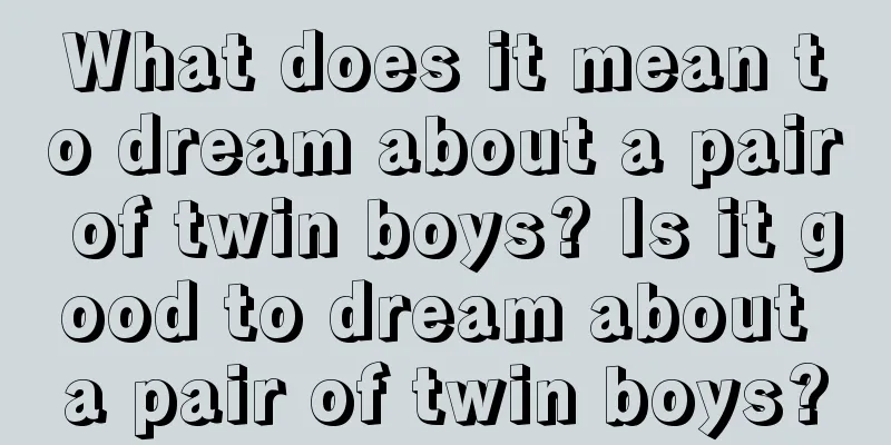 What does it mean to dream about a pair of twin boys? Is it good to dream about a pair of twin boys?