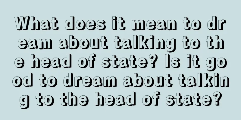 What does it mean to dream about talking to the head of state? Is it good to dream about talking to the head of state?