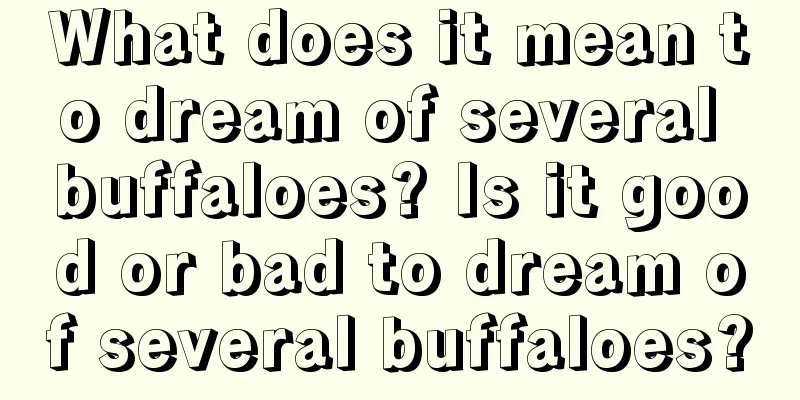 What does it mean to dream of several buffaloes? Is it good or bad to dream of several buffaloes?