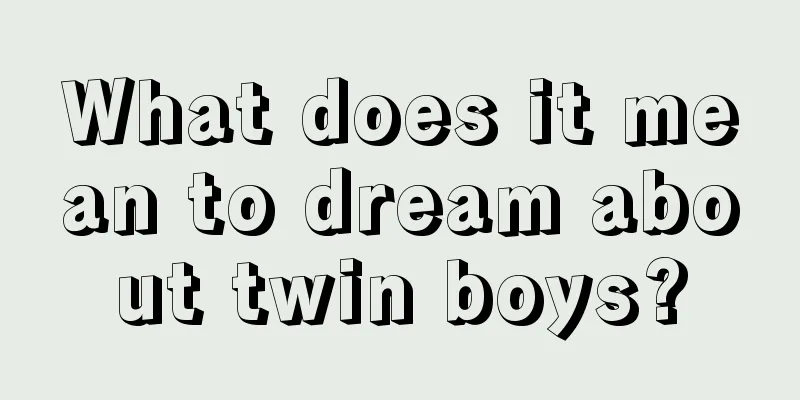 What does it mean to dream about twin boys?