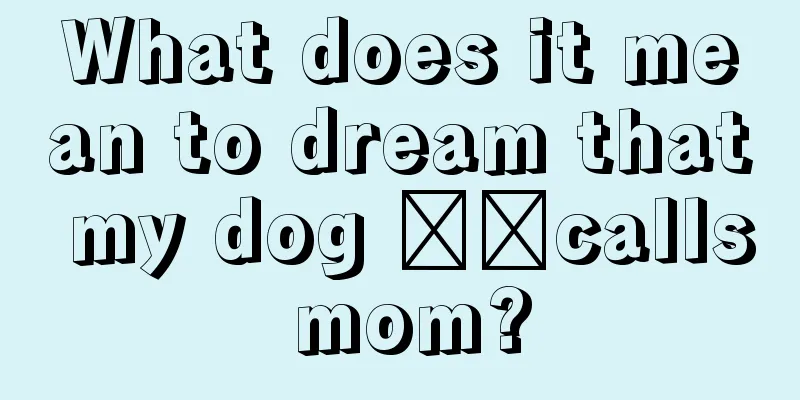 What does it mean to dream that my dog ​​calls mom?