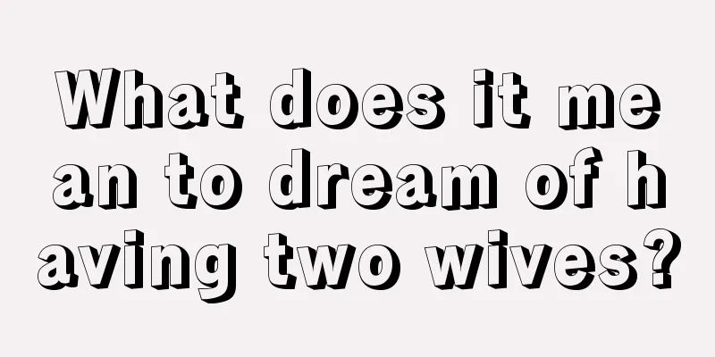 What does it mean to dream of having two wives?